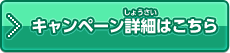 キャンペーン詳細はこちら