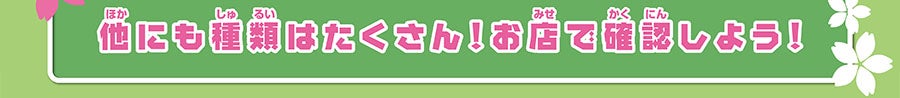 他にも種類はたくさん！お店で確認しよう！