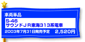 �T�E���hJR���C313�n�d��