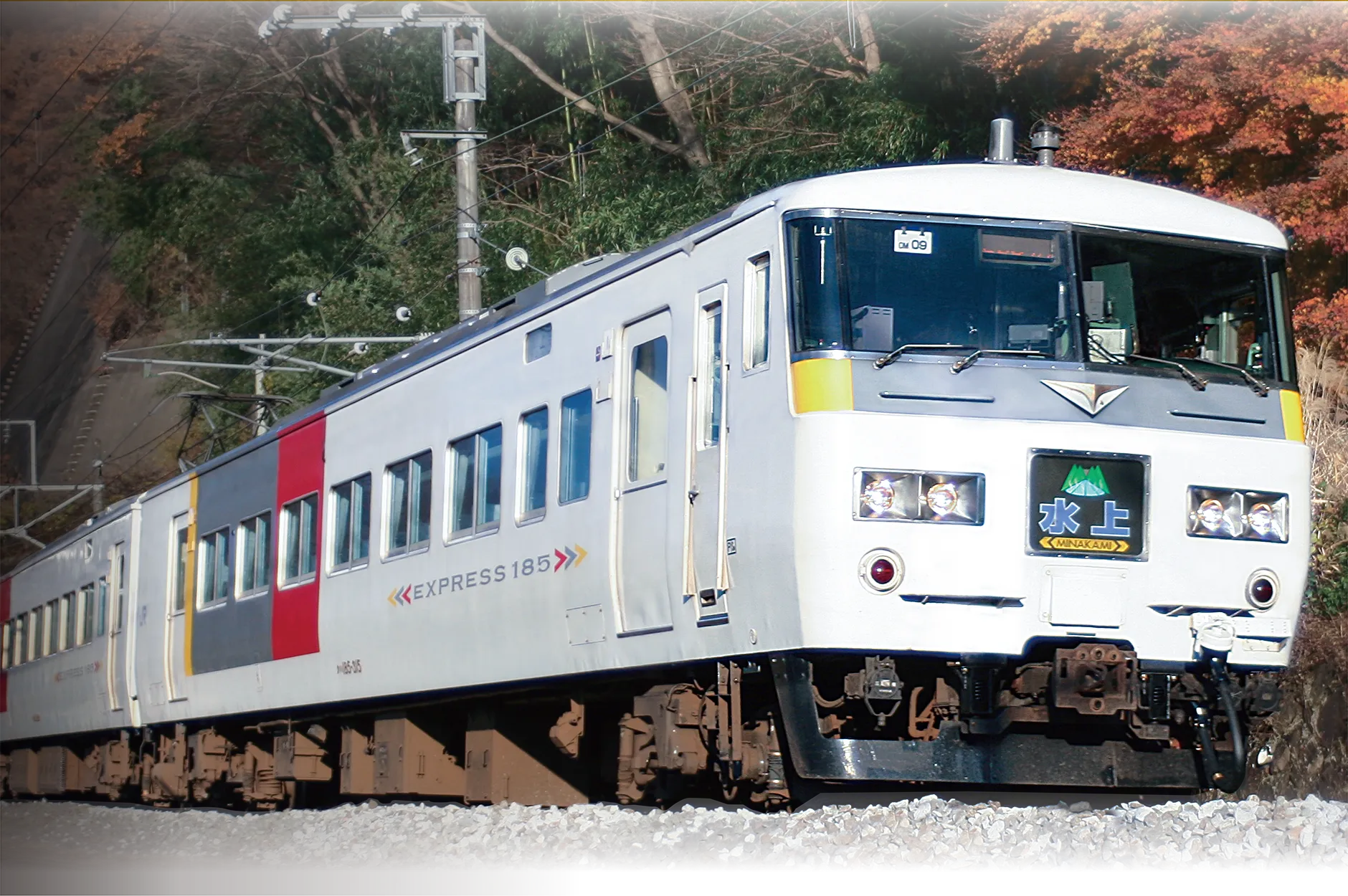 PLARAIL REAL CLASS｜185系特急電車（エクスプレス185）｜プラレール