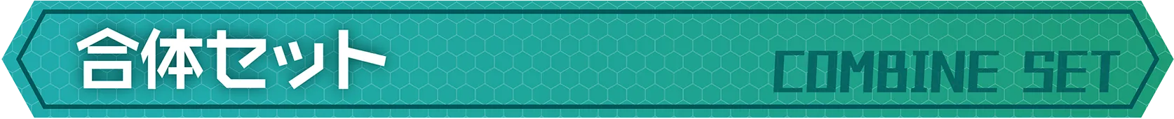 合体セット｜COMBINE SET