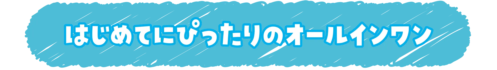 はじめてにぴったりのオールインワン