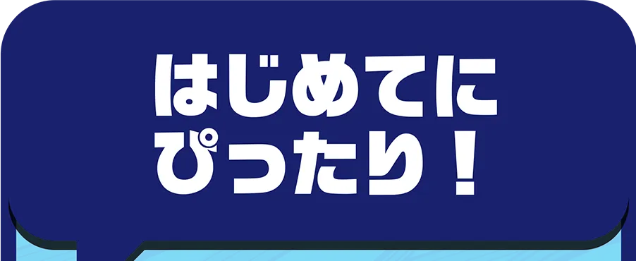 はじめてにぴったり！