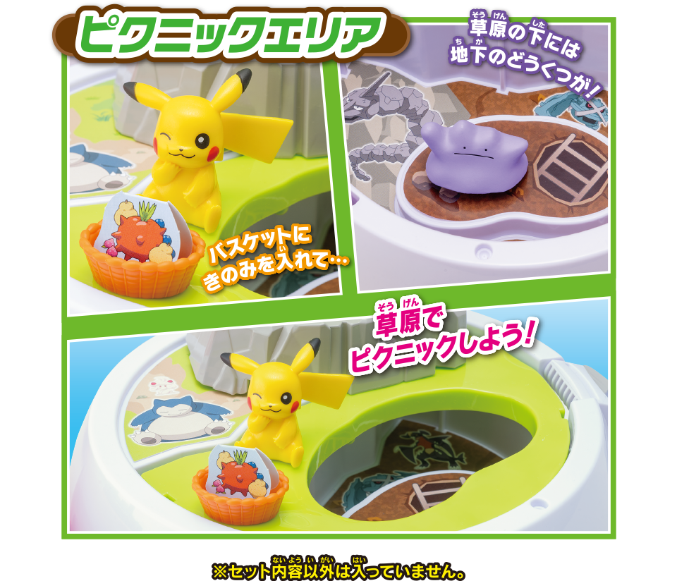 ピクニックエリア