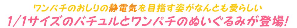 ワンパチのおしりの静電気を目指す姿がなんとも愛らしい1/1サイズのバチュルとワンパチのぬいぐるみが登場！