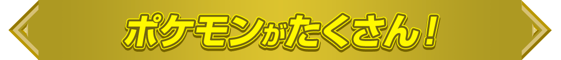 ポケモンがたくさん！