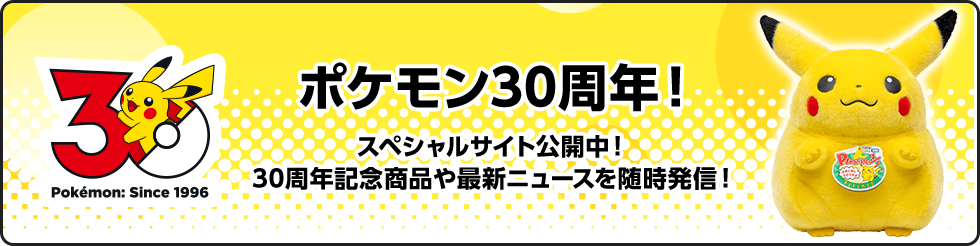 30周年記念商品特集