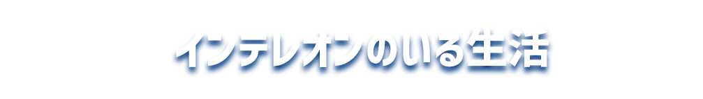 インテレオンのいる生活