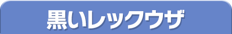 黒いレックウザ