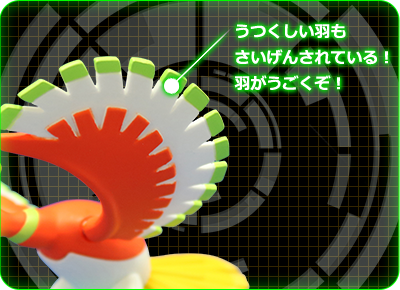 ホウオウの秘密