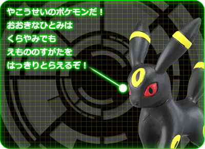 ブラッキーのポイント