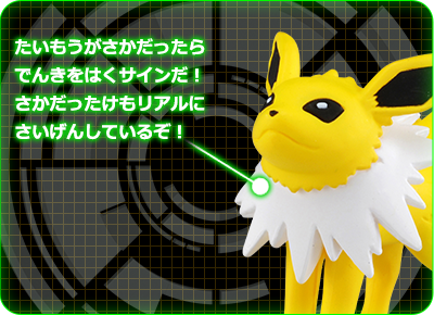 サンダースのポイント