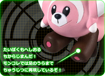 ヌイコグマの秘密