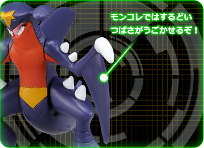 カプ・ブルルの秘密