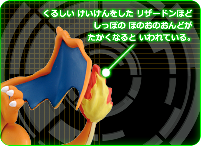 リザードンの秘密