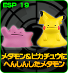 メタモン＆ピカチュウにへんしんしたメタモン