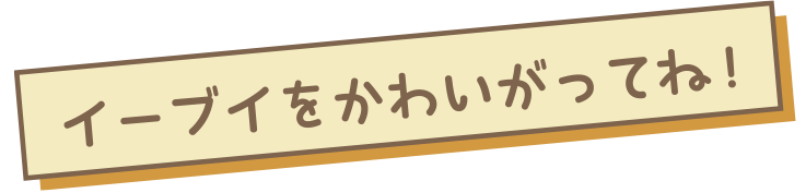 イーブイをかわいがってね！