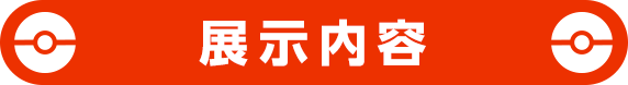 展示内容