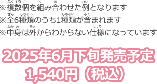 2025年6月下旬発売予定 1,540円（税込）