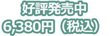 好評発売中 メーカー希望小売価格　6,380円（税込）
