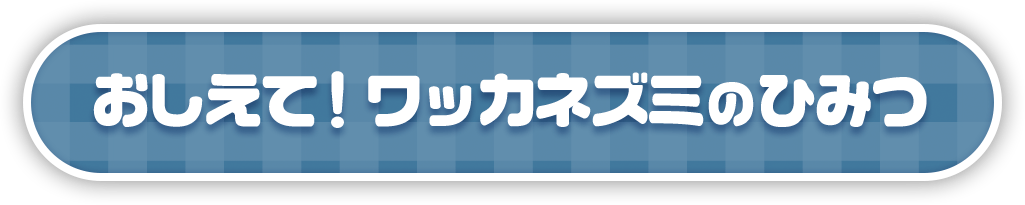 おしえて！ワッカネズミのひみつ