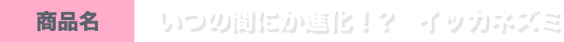 商品名 いつの間にか進化！？　イッカネズミ