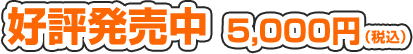 好評発売中 5,000円（税込）