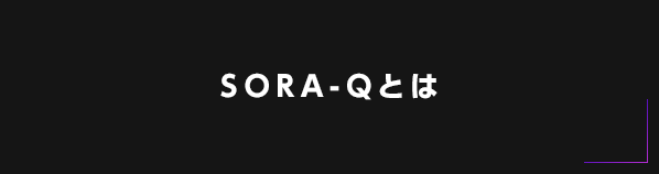SORA-Qとは