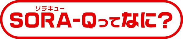 SORA-Qってなに？