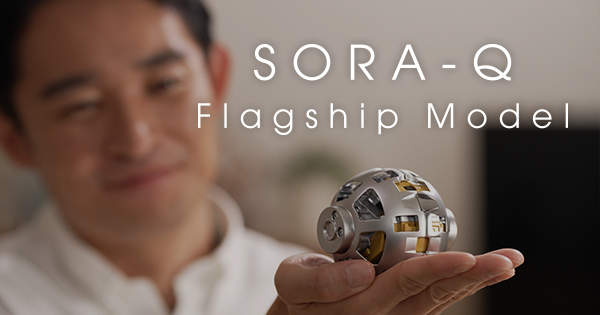 SORA-Q Flagship Model
