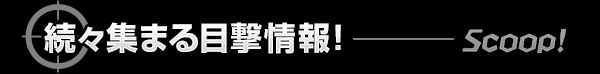 続々集まる目撃情報！