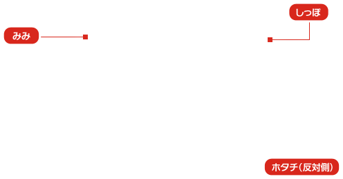 �|�C���g