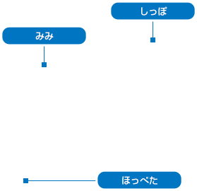 �|�C���g