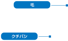 �|�C���g