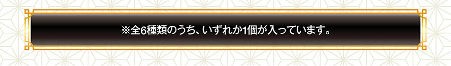 ※全6種のうち、いずれか1個が入っています。