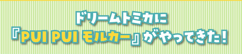 ドリームトミカに『PUI PUI モルカー』がやってきた！