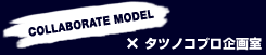 COLLABORATE MODEL �~ �X�i��Y��