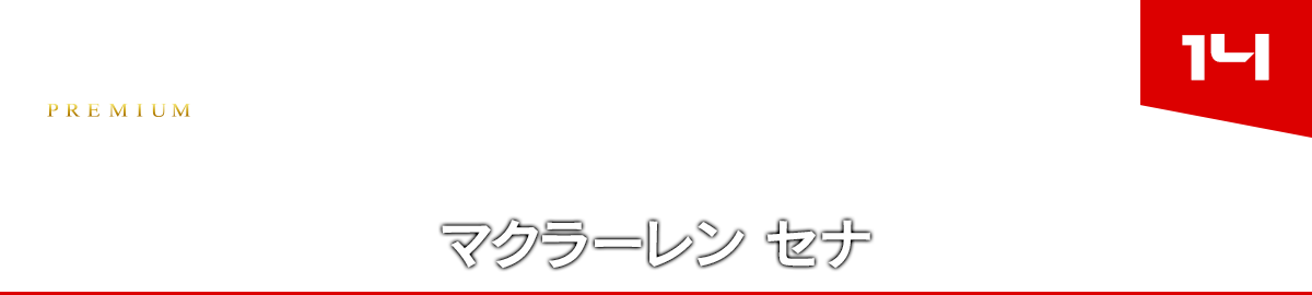 14 マクラーレン セナ
