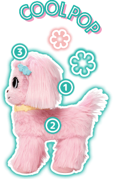 COOLPOP