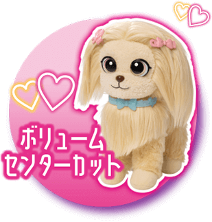 ボリュームセンターカット