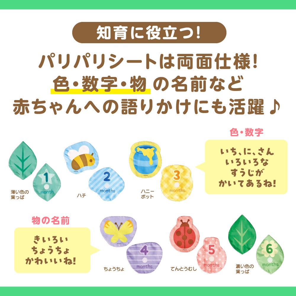てあそびいっぱい！
おうちにへんしんジム 
くまのプーさん