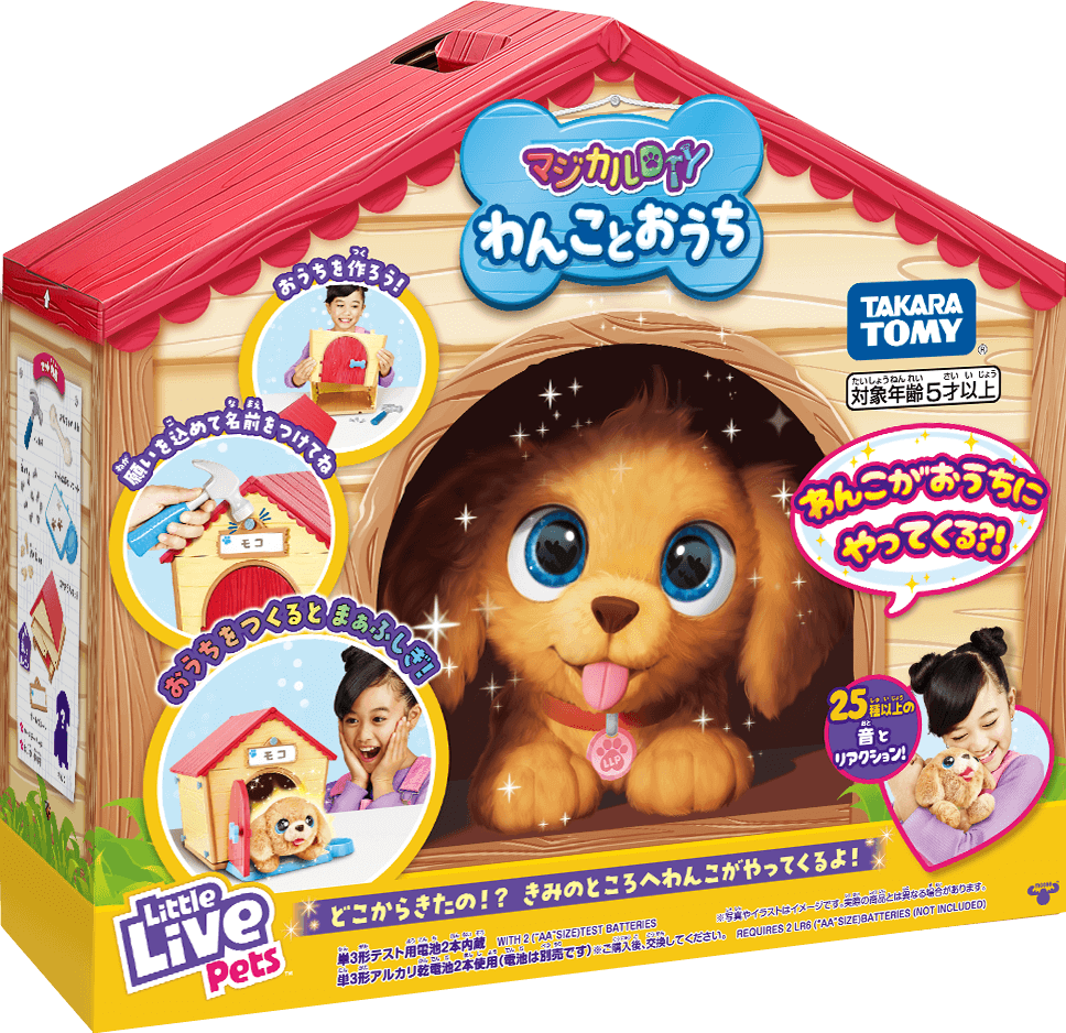 マジカルDIY わんことおうち