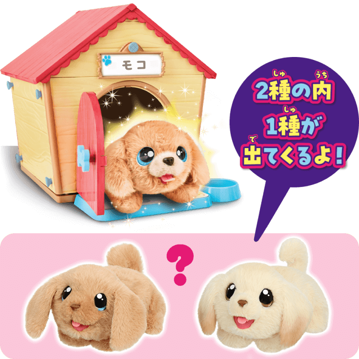 2種の内1種が出てくるよ！