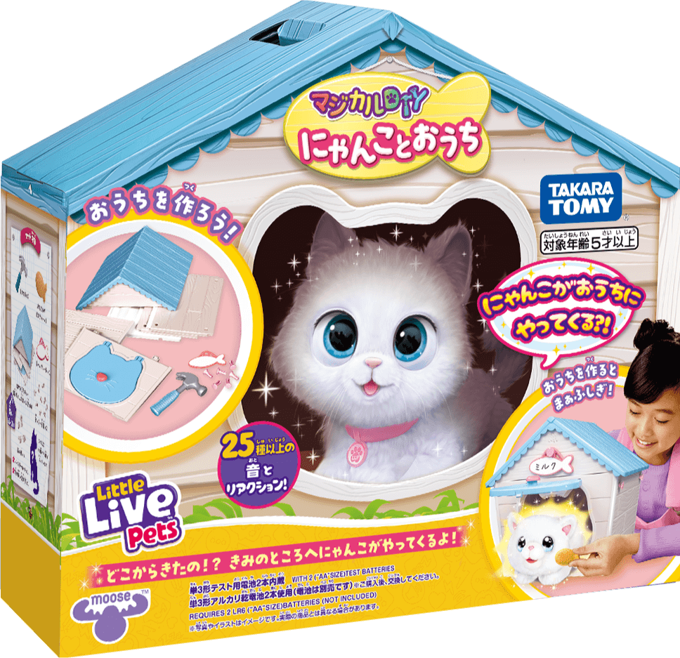 マジカルDIY にゃんことおうち