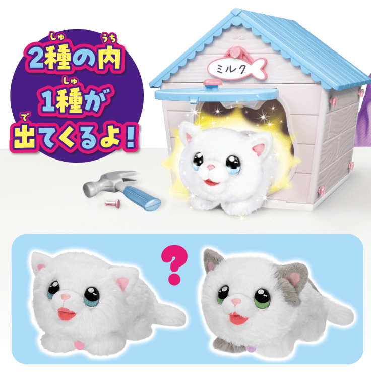 2種の内1種が出てくるよ！