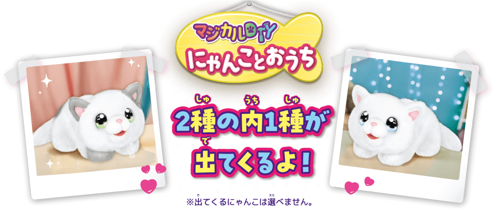 2種の内1種が出てくるよ！※出てくるにゃんこは選べません。