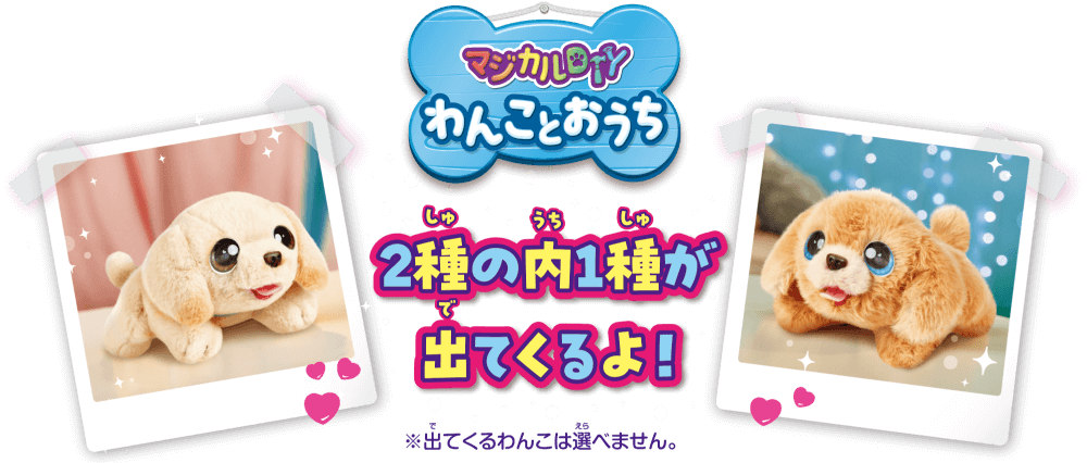 2種の内1種が出てくるよ！※出てくるわんこは選べません。