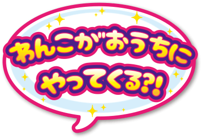わんこがおうちにやってくる?!