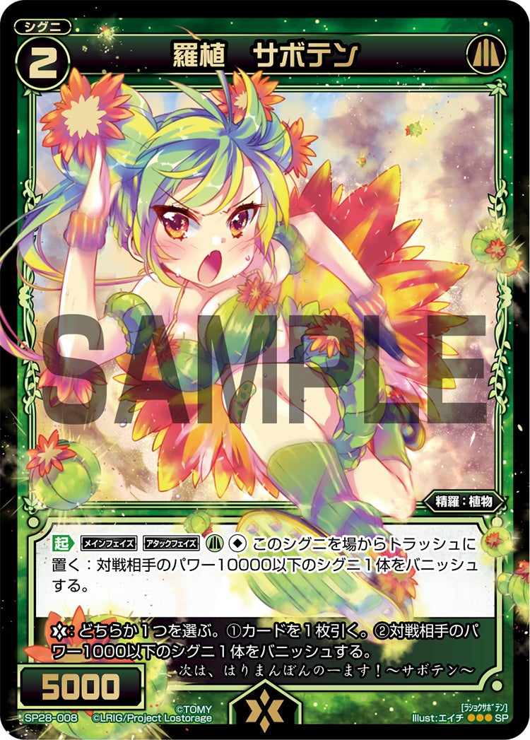 羅植　サボテン（お楽しみパック 2017年8-9月）