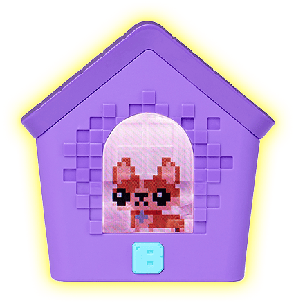 わんだーはうす